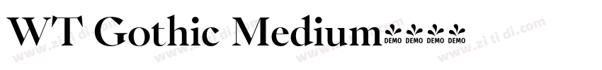 WT Gothic Medium字体转换